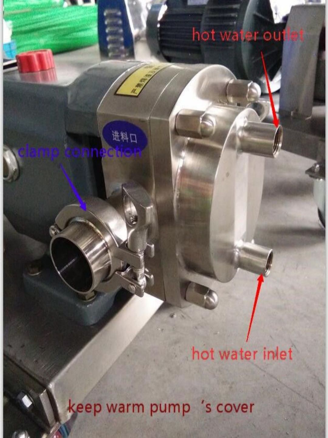 Rotary Lobe Pump