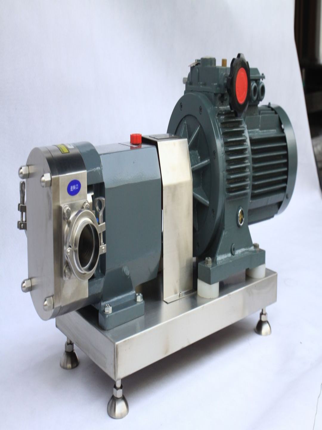 Rotary Lobe Pump